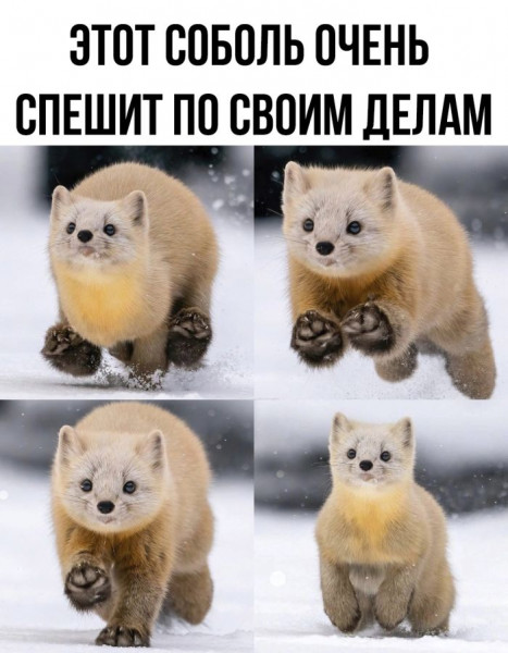 Мем, Mghost