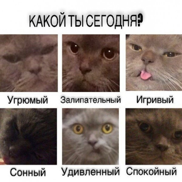 Мем, Микки Маус