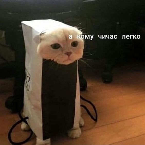 Мем, Микки Маус