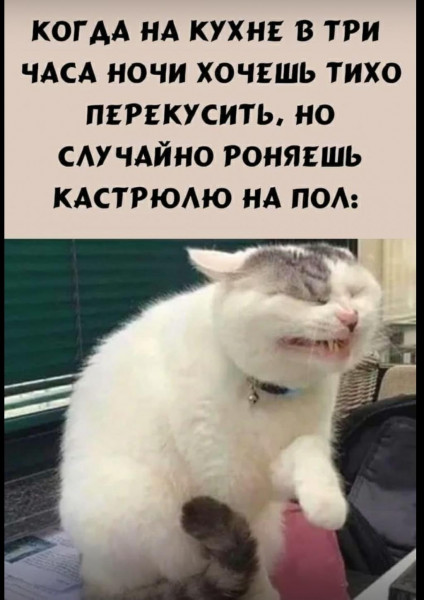 Мем, Микки Маус