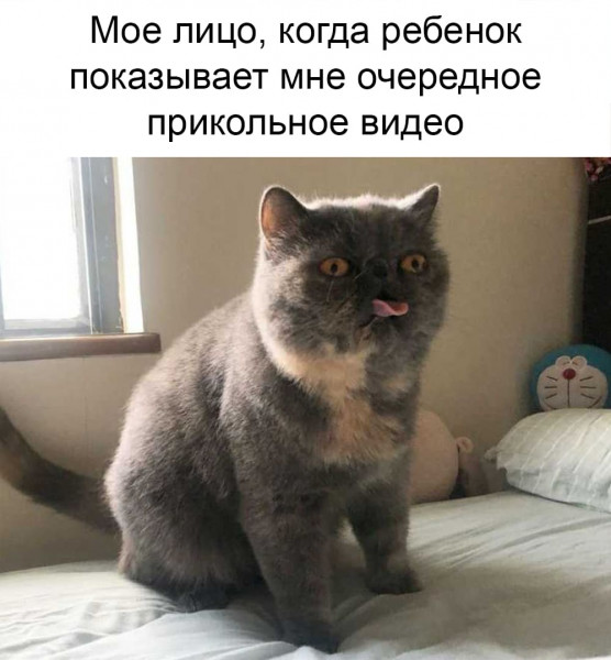 Мем, Микки Маус