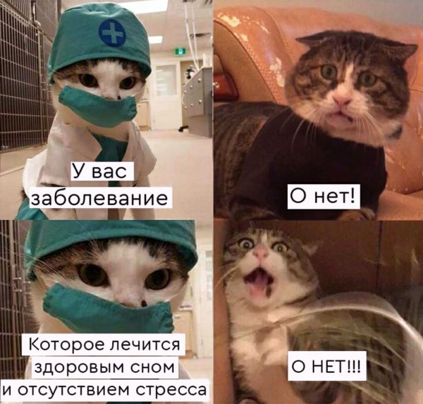 Мем, Микки Маус