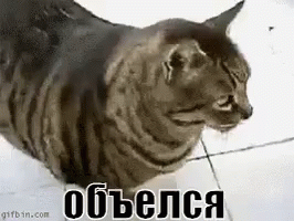 Мем, Микки Маус