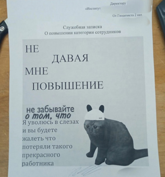 Мем: Как правильно просить о повышении., henh