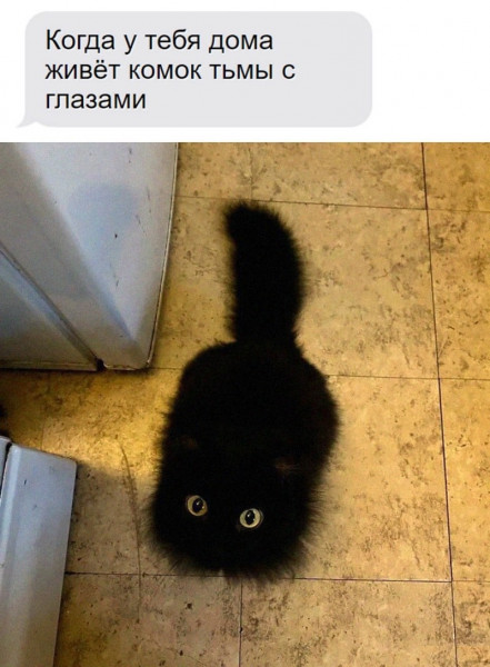 Мем, Mghost