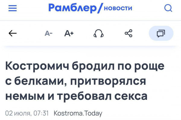 Мем: Новости глубинки., Максим Камерер