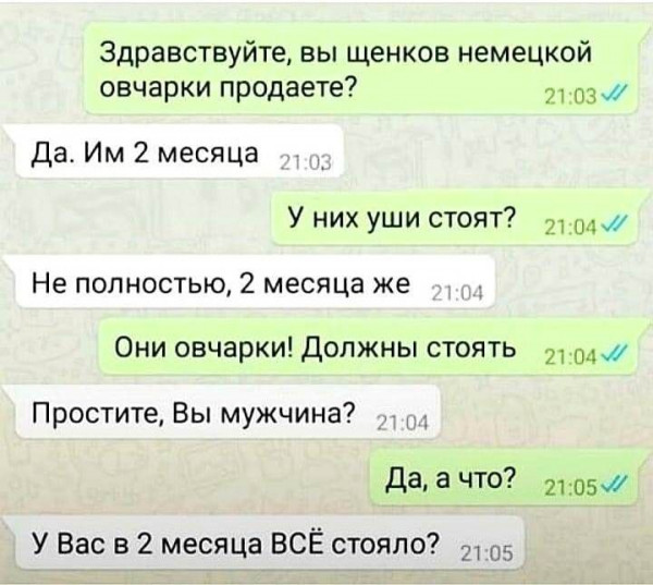 Мем: Покупка, henh