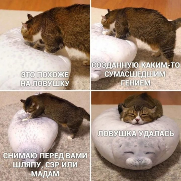 Мем, Микки Маус