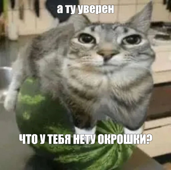 Мем, Микки Маус