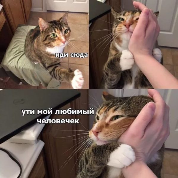 Мем, Микки Маус