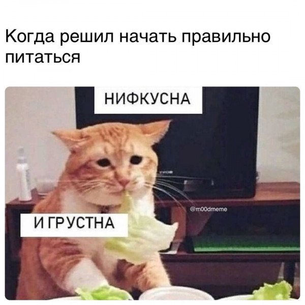 Мем, Микки Маус