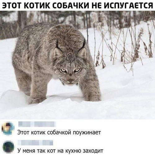 Мем, Микки Маус