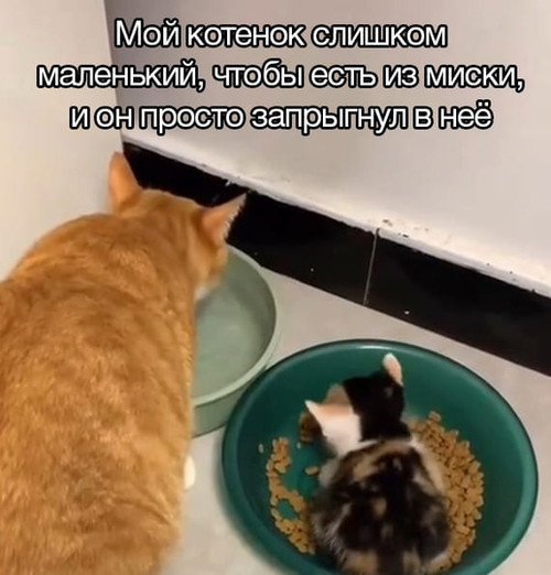 Мем, Микки Маус