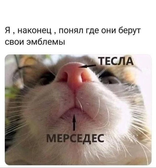 Мем, Микки Маус