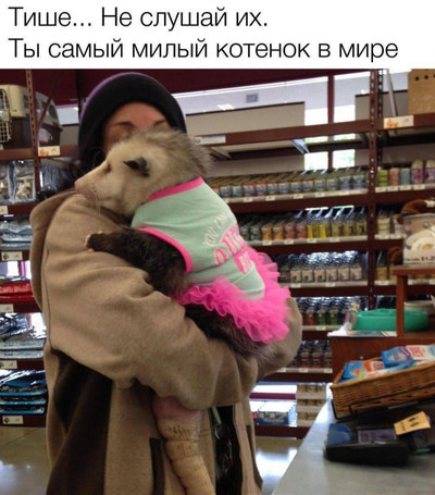 Мем, Микки Маус