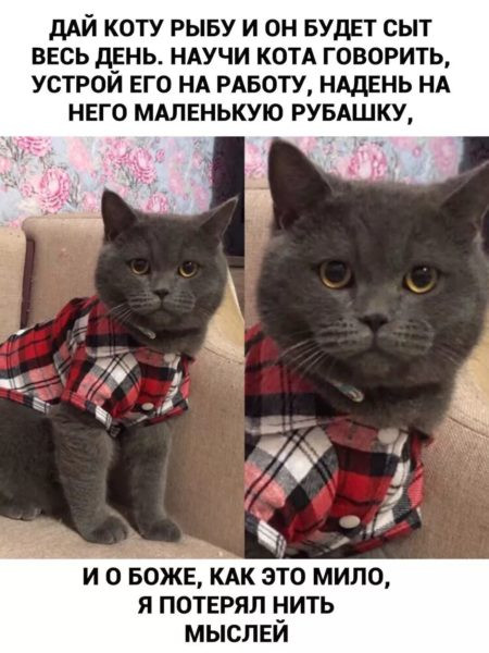 Мем, Микки Маус