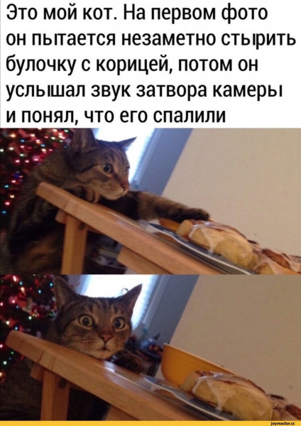 Мем, Микки Маус