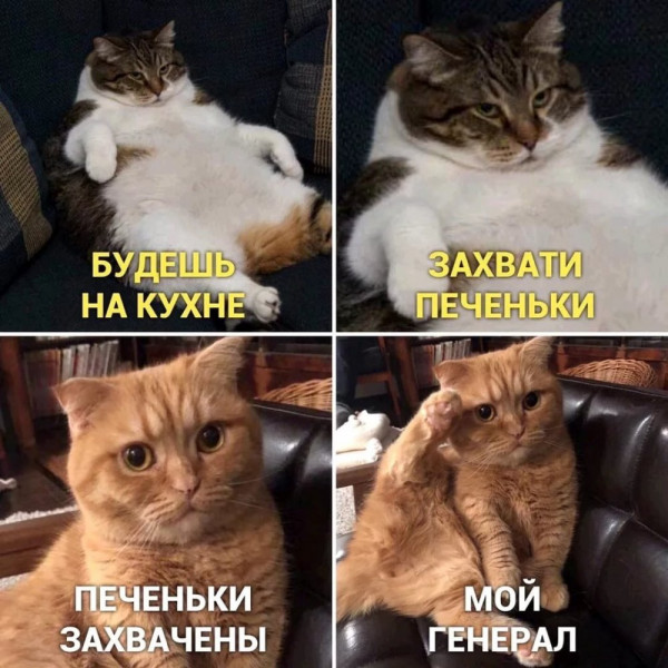 Мем, Микки Маус