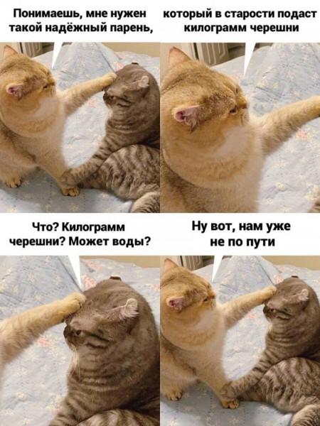 Мем, Микки Маус