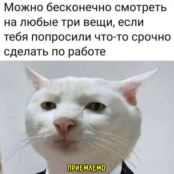 Мем, Микки Маус