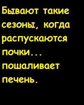 Мем, Лис Интересный