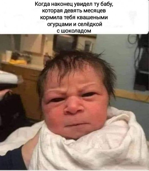 Мем, Рысь