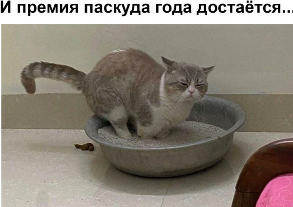 Мем, Тьмуша