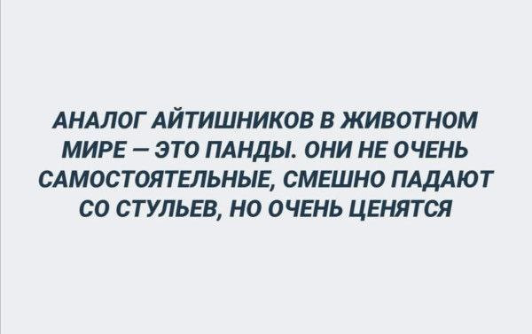 Мем: Аналог айтишнков в животном мире