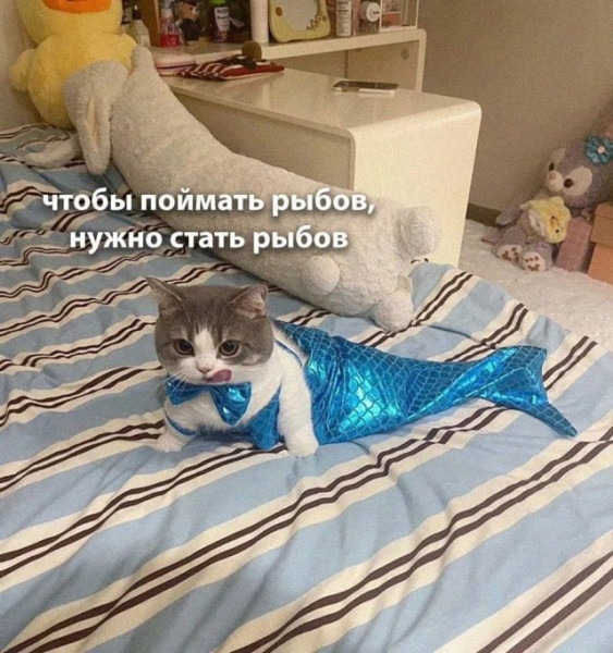 Мем, Mghost