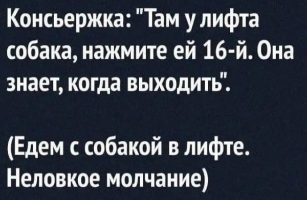 Мем, Mghost