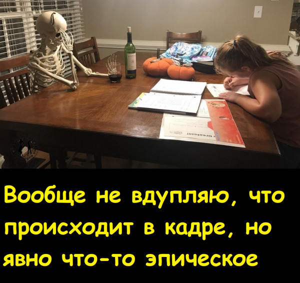 Мем, Лис Интересный