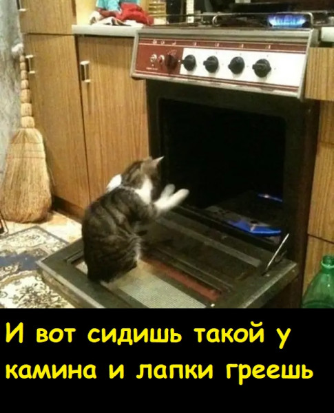 Мем, Лис Интересный