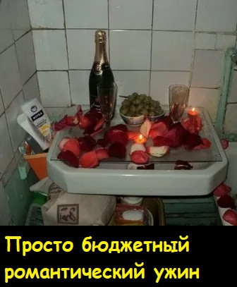 Мем, Лис Интересный