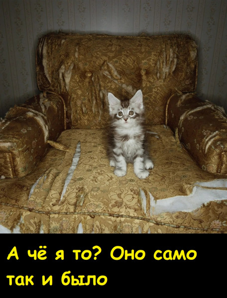 Мем, Лис Интересный