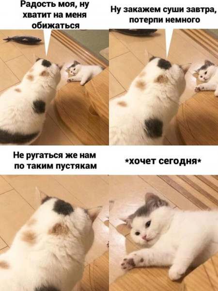 Мем, Микки Маус