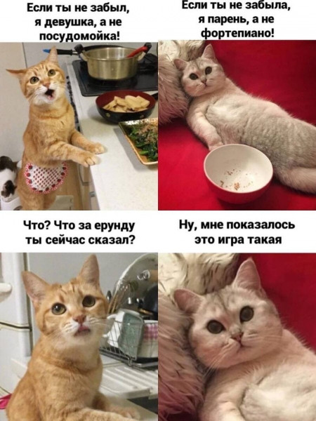 Мем, Микки Маус