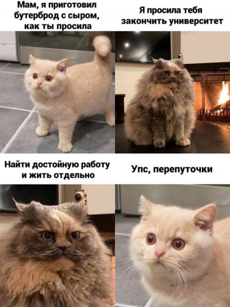 Мем, Микки Маус