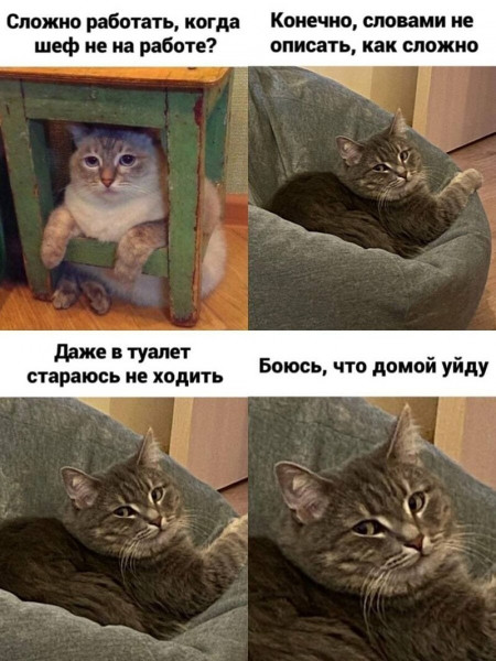 Мем, Микки Маус