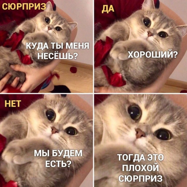 Мем, Микки Маус