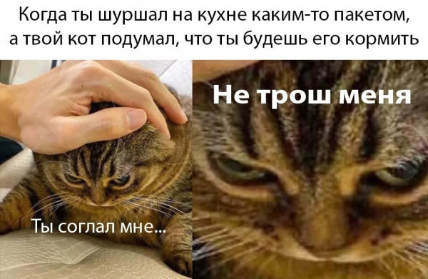 Мем, Микки Маус