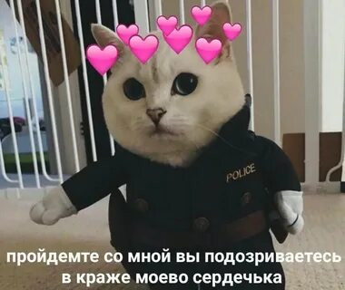 Мем, Микки Маус