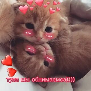Мем, Микки Маус