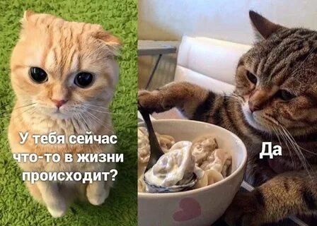 Мем, Микки Маус