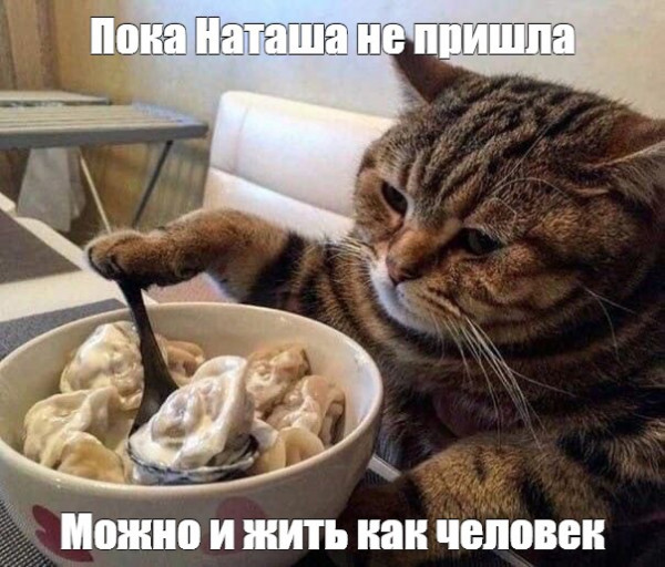 Мем, Микки Маус