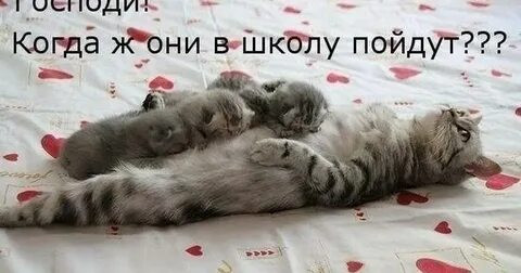 Мем, Микки Маус