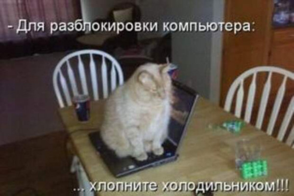 Мем, Микки Маус