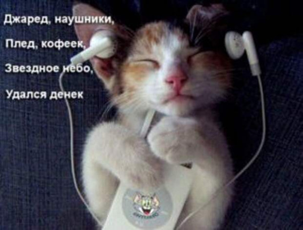 Мем, Микки Маус