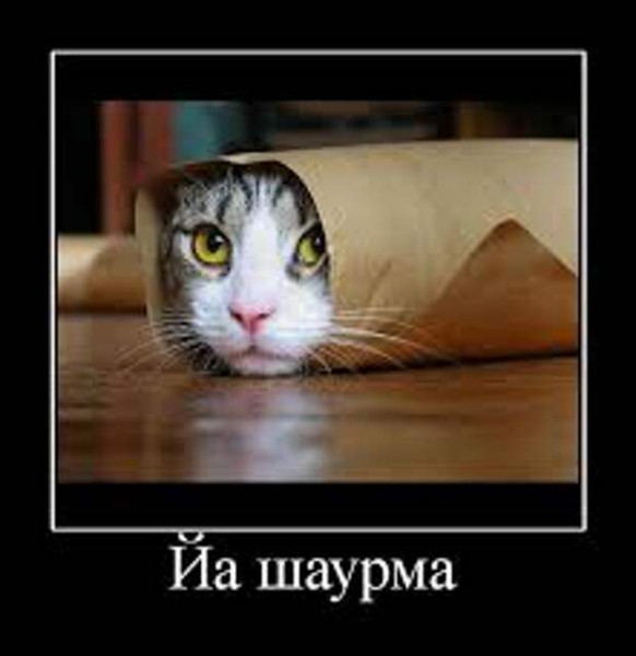 Мем, Микки Маус