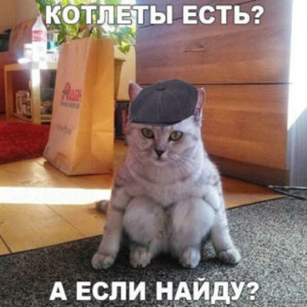 Мем, Микки Маус