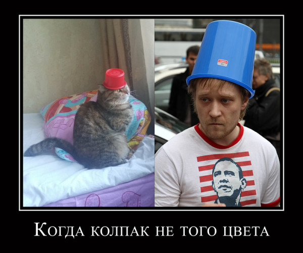 Мем, Микки Маус